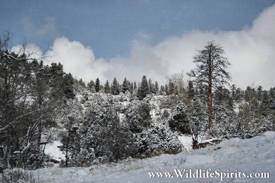 Click Picture to send as an  E-PostCard 58k 550x367